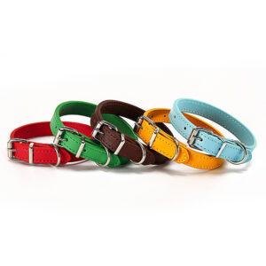 Pet collar multicoloured